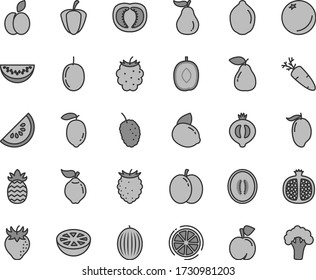 Thin line gray tint vector icon set - carrot vector, apple, orange, peach, half pomegranate, quince, pear, strawberry, of medlar, blackberry, tasty raspberry, mulberry, melon, slice water, mango