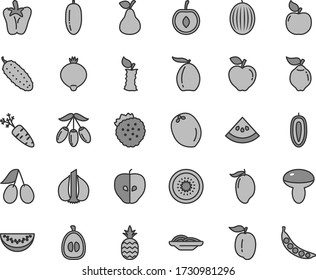 Thin line gray tint vector icon set - slices of onion vector, mushroom, cucumber, peper, strawberries, a pineapple, pear, quince, apricot, red apple, tasty, cornels, medlar, melon, mango, loquat