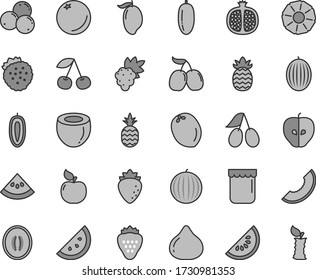 Thin line gray tint vector icon set - jam vector, strawberry, strawberries, a pineapple, orange slice, cherry, half pomegranate, grape, apricot, tasty apple, raspberry, cornels, fig, blueberries, of