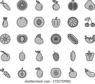 Thin line gray tint vector icon set - Hot Dog vector, chili, peper, carrot, fried egg, cherry, ripe peach, half apricot, pomegranate, plum, rose hip, blueberry, mulberry, tasty, date fruit, lemon