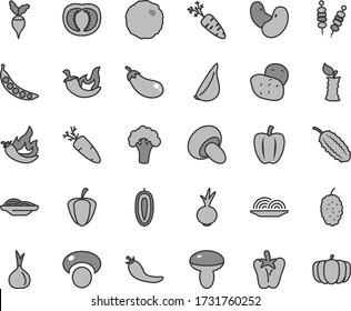 Thin line gray tint vector icon set - fried vegetables on sticks vector, onion, slices of, mushroom, porcini, cabbage, chili, peper, beet, garlic, carrot, mulberry, sweet date fruit, apple stub, red