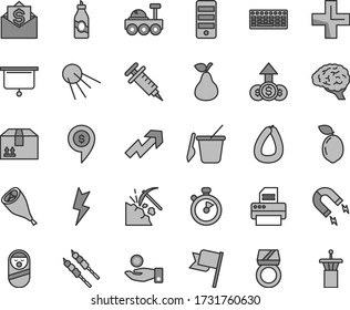 Thin line gray tint vector icon set - growth up vector, plus, roly poly doll, children's sand set, lightning, flag, cardboard box, artificial satellite, stick of sausage, grill chicken leg, barbecue