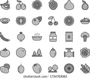 Thin line gray tint vector icon set - hot porridge vector, a plate of fruit, milk, cabbage, tomato, jar jam, blueberries, strawberries, cherry, squash, fig, medlar, tasty cornels, passion, tamarillo