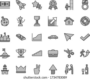 Thin line gray tint vector icon set - upward direction vector, check mark, growth chart, pedestal, portfolio, cash, graph, prize, gold cup, star, man arrow up, stairway, motivation, flag on moon