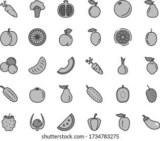 Thin line gray tint vector icon set - cucumber vector, carrot, orange slice, peach, apple, half pomegranate, quince, pear, blackberry, blueberry, blueberries, tasty mulberry, of melon, tangerine