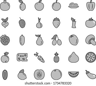 Thin line gray tint vector icon set - piece of cheese vector, onion, porcini, tomato, strawberries, a pineapple, peach, half apricot, pomegranate, raspberry, cornels, fig, tasty mulberry, date fruit