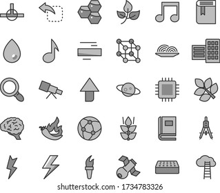 Thin line gray tint vector icon set - lightning vector, upward direction, minus, book, city block, brick, drop, move left, onion, mint, honeycombs, hot pepper, leaves, Measuring compasses, cpu, note
