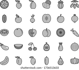 Thin line gray tint vector icon set - beet vector, carrot, cherry, apple, quince, apricot, tasty, rose hip, medlar, water melon, loquat, goji berry, half peach, date fruit, slice of tangerine, sweet