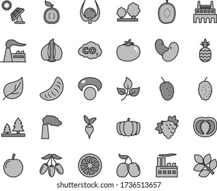 Thin line gray tint vector icon set - tomato vector, a pineapple, branch of grape, mulberry, tasty, cornels, goji berry, delicious plum, slice tangerine, juicy lemon, half guawa, physalis, garlic