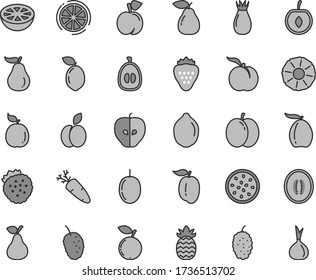 Thin line gray tint vector icon set - carrot vector, strawberry, strawberries, apple, pear, peach, ripe, tasty, rose hip, blueberry, mulberry, loquat, half melon, plum, cherry, passion fruit, lime