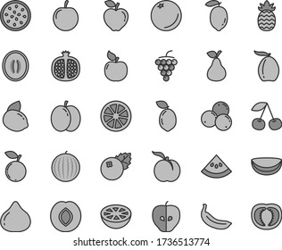 Thin line gray tint vector icon set - blueberries vector, pear, orange, cherry, ripe peach, apple, half pomegranate, large grape, apricot, red, tasty, plum, fig, blueberry, water melon, loquat