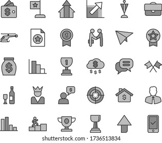 Thin line gray tint vector icon set - upward direction vector, growth chart, positive histogram, employee, portfolio, bar, money, prize, award, gold cup, carrer stairway, arrows, star flag, pennant