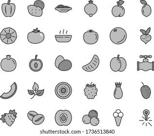 Thin line gray tint vector icon set - eggs vector, slices of onion, hot porridge, tomato, coffee beans, cone, orange, peach, apple, half apricot, pomegranate, branch grape, rose hip, medlar, cherry