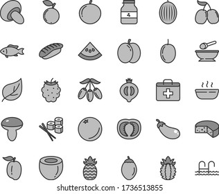 Thin line gray tint vector icon set - first aid kit vector, deep plate with a spoon, cheese, mushroom, porcini, hot porridge, sushi set, japanese, fish, jar of jam, orange, apple, half medlar, melon