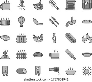 Thin line gray tint vector icon set - electronic thermometer vector e, mercury, heating coil, temperature, radiator, boiler, coffee, sausage, loaf, Hot Dog, mini, noodles, pie, porridge, chop, chili