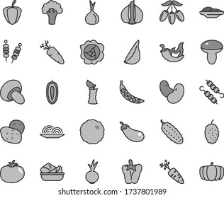 Thin line gray tint vector icon set - fried vegetables on sticks vector, onion, slices of, mushroom, porcini, lettuce in a plate, meat skewers, cabbage, cucumber, tomato, chili, peper, beet, garlic