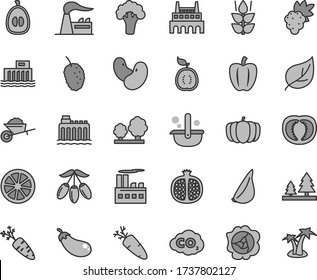 Thin line gray tint vector icon set - garden trolley vector, garlic, carrot, mint, half pomegranate, grape, squash, tasty mulberry, goji berry, loquat, juicy lemon, of guawa, tomato, Bell pepper