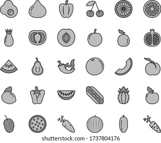 Thin line gray tint vector icon set - Hot Dog vector, chili, peper, carrot, fried egg, cherry, ripe peach, half pomegranate, apricot, plum, rose hip, fig, tasty mulberry, water melon, slice of, part