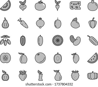 Thin line gray tint vector icon set - piece of cheese vector, tomato, carrot, orange slice, half apricot, pomegranate, strawberry, medlar, tasty raspberry, water melon, mango, loquat, goji berry