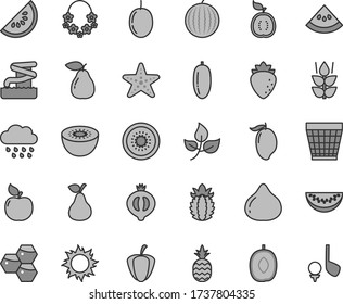 Thin line gray tint vector icon set - wicker pot vector, rainy cloud, a pineapple, pear, mint, honeycombs, apricot, raspberry, fig, half of medlar, water melon, slice, mango, delicious plum, passion