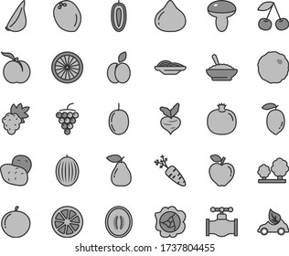 Thin line gray tint vector icon set - slices of onion vector, mushroom, a bowl buckwheat porridge, cabbage, garlic, apple, cherry, ripe peach, pomegranate, grape, large, squash, pear, red, fig, half