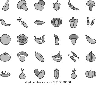 Thin line gray tint vector icon set - fried vegetables on sticks vector, onion, slices of, mushroom, porcini, meat skewers, cabbage, cucumber, tomato, chili, peper, beet, garlic, squash, apple stub