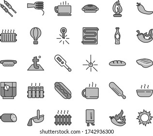 Thin line gray tint vector icon set - electronic thermometer vector e, mercury, heating coil, temperature, radiator, boiler, coffee, sausage, loaf, Hot Dog, mini, noodles, pie, porridge, chop, chili