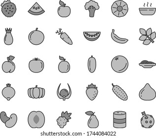 Thin line gray tint vector icon set - slices of onion vector, hot porridge, cucumber, carrot, strawberries, orange, peach, grape, pear, apricot, raspberry, rose hip, fig, medlar, half, date fruit