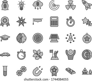 Thin line gray tint vector icon set - test tube vector, nuclear, bulb, brain, gears, magnet, graduate hat, calculator, radar, earth core, medal, sun panel, biology, stopwatch, bang, star, gold bar