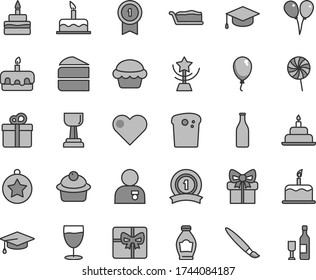 Thin line gray tint vector icon set - tassel vector, colored air balloons, balloon, cake, birthday, heart, gift, square academic hat, Easter, muffin, piece of, slice, torte, lollipop, glass, bottle