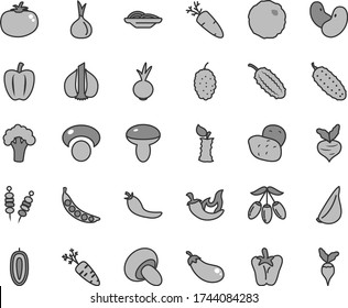 Thin line gray tint vector icon set - fried vegetables on sticks vector, slices of onion, mushroom, porcini, cabbage, cucumber, tomato, chili, peper, beet, garlic, carrot, mulberry, goji berry, red