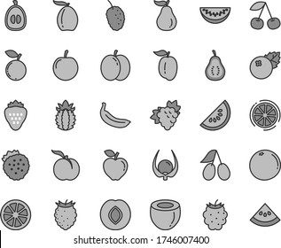 Thin line gray tint vector icon set - blueberries vector, strawberry, strawberries, cherry, ripe peach, apple, branch of grape, red, plum, cornels, blackberry, tasty raspberry, blueberry, mulberry