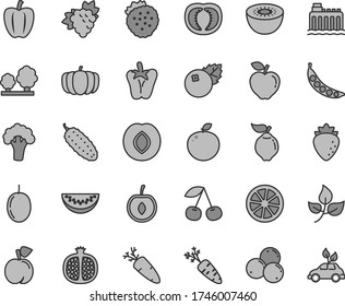 Thin line gray tint vector icon set - cucumber vector, peper, carrot, blueberries, strawberries, cherry, peach, half pomegranate, branch of grape, quince, red apple, plum, raspberry, passion fruit