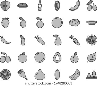 Thin line gray tint vector icon set - stick of sausage vector, mini hot dog, pie, grill chicken leg, piece meat, carrot, bottle soda, apple, orange, pear, tasty, cornels, fig, raspberry, blueberry