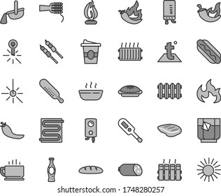 Thin line gray tint vector icon set - electronic thermometer vector e, mercury, heating coil, temperature, radiator, new, boiler, coffee, sausage, loaf, Hot Dog, noodles, pie, porridge, chop, chili
