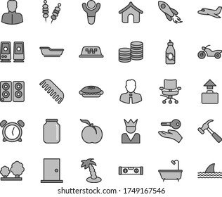 Thin line gray tint vector icon set - alarm clock vector, bath, comb, ntrance door, building level, hammer with claw, employee, fried vegetables on sticks, pie, liquor, ripe peach, trees, jar, woman