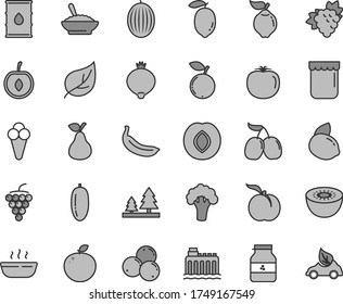 Thin line gray tint vector icon set - a bowl of buckwheat porridge vector, hot, cone, jam, jar, pear, ripe peach, branch grape, large, quince, plum, medlar, blueberry, blueberries, tasty cornels