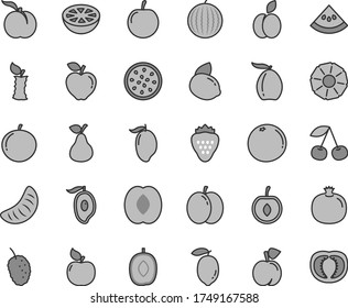Thin line gray tint vector icon set - strawberry vector, apple, pear, cherry, peach, ripe, pomegranate, apricot, red, tasty mulberry, water melon, mango, half of, loquat, delicious plum, tangerine