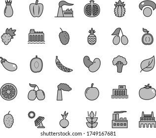 Thin line gray tint vector icon set - tomato vector, beet, a pineapple, mint, half pomegranate, grape, rose hip, cornels, mulberry, tasty, delicious plum, juicy lemon, of guawa, ripe, Bell pepper