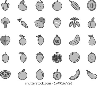 Thin line gray tint vector icon set - strawberry vector, apple, orange, half pomegranate, tasty, raspberry, blackberry, blueberry, slice of melon, mango, goji berry, delicious plum, tangerine, lemon