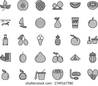 Thin line gray tint vector icon set - toy sand set vector, children's, cone, strawberries, a pineapple, pear, ripe peach, half apricot, cornels, fig, tasty, water melon, slice, plum, passion fruit