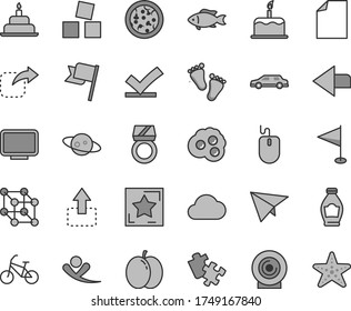 Thin line gray tint vector icon set - left direction vector, clean sheet of paper, pennant, footprints, cubes for children, birthday cake, Puzzle, flag, lens, move up, right, pizza, fish, omelette