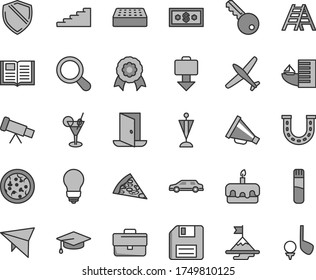 Thin Line Gray Tint Vector Icon Set - Floppy Disk Vector, Briefcase, Horn, Ladder, Bulb, Brick, Book, Pizza, Piece Of, Torte, Test Tube, Telescope, Zoom, Medal, Stairway, Graduate, Motivation, Luck