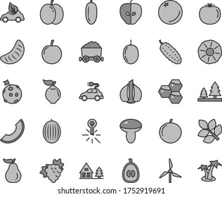 Thin line gray tint vector icon set - mushroom vector, cucumber, orange, honeycombs, apple, branch of grape, quince, tasty, melon, slice, date fruit, tangerine, half loquat, plum, passion, pineapple