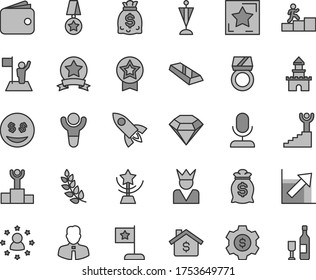 Thin line gray tint vector icon set - growth chart vector, employee, wallet, dollars, winner, laurel branch, podium, star cup, carrer stairway, man with flag, pennant, medal, ribbon, diamond, bar