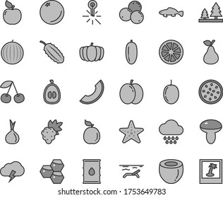 Thin line gray tint vector icon set - cloud vector, storm, mushroom, small fish, pear, orange, honeycombs, cherry, apple, grape, apricot, blueberries, water melon, slice of, date fruit, half loquat