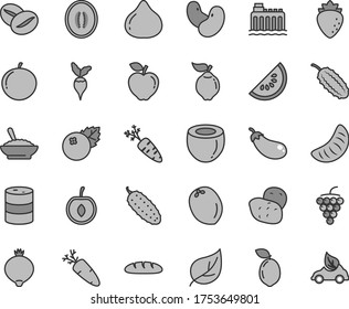 Thin line gray tint vector icon set - loaf vector, a bowl of buckwheat porridge, cucumber, carrot, coffee beans, blueberries, large grape, quince, red apple, raspberry, fig, medlar, half, tangerine