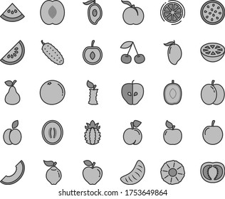 Thin line gray tint vector icon set - cucumber vector, apple, pear, cherry, peach, ripe, quince, apricot, red, tasty, slice of melon, water, mango, half, delicious plum, tangerine, passion fruit