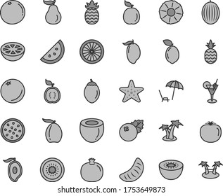 Thin line gray tint vector icon set - blueberries vector, a pineapple, orange slice, pomegranate, melon, mango, half of, loquat, tangerine, kiwi, passion fruit, tamarillo, sour lime, guava, guawa