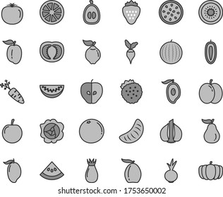 Thin line gray tint vector icon set - beet vector, strawberry, strawberries, apple, squash, quince, tasty, rose hip, water melon, mango, half of, loquat, slice, tangerine, ripe plum, juicy lemon